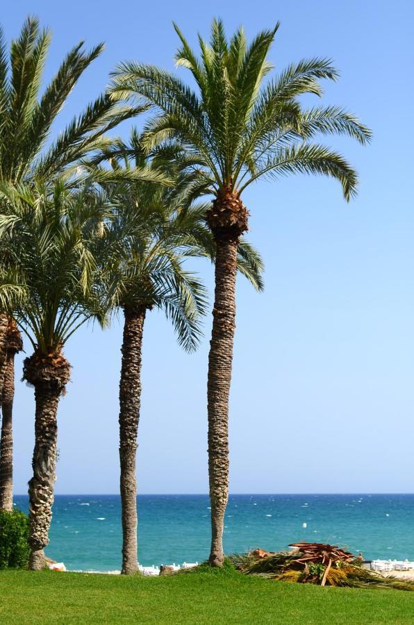 Apartment La Caleta ビリャホヨサ エクステリア 写真